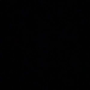 Meet your Posher, Leia